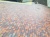 Тротуарный кирпич «ABC-Klinkergruppe» Danzig 200х100х40